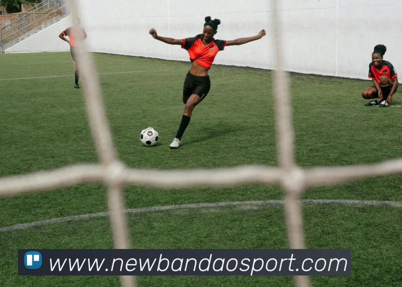 多媒体互动体验